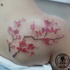 Татуировка на лопатке у девушки - сакура