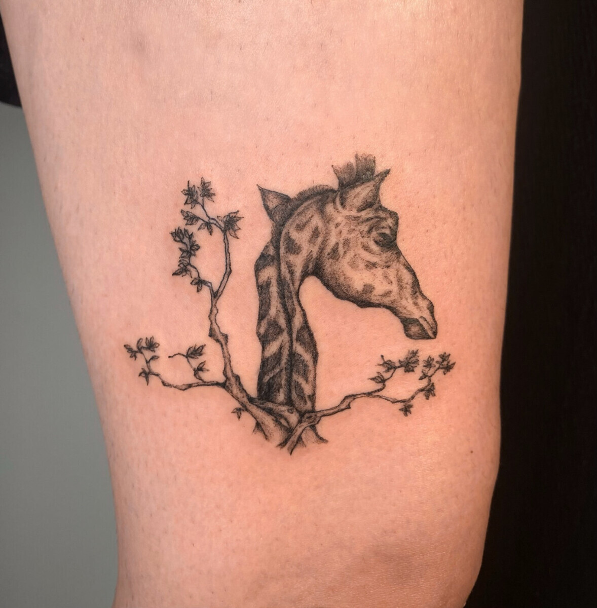 Татуировка головы жирафа и ветки дерева в стиле микрореализм на бедре