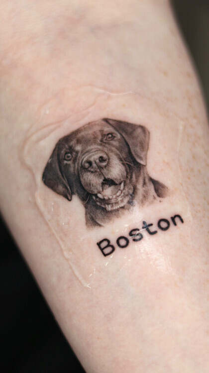Реалистичный портрет собаки с надписью Boston