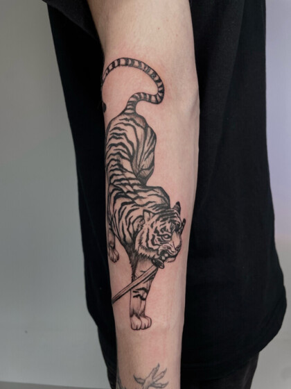 Татуировка тигра с мечом в стиле графика на предплечье