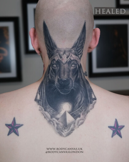 Реалистичная татуировка Анубиса на затылке и шее