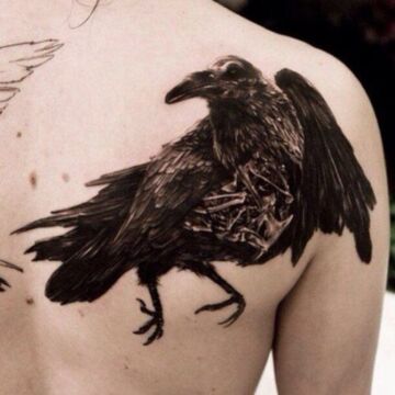 Тату на лопатке парня - ворон